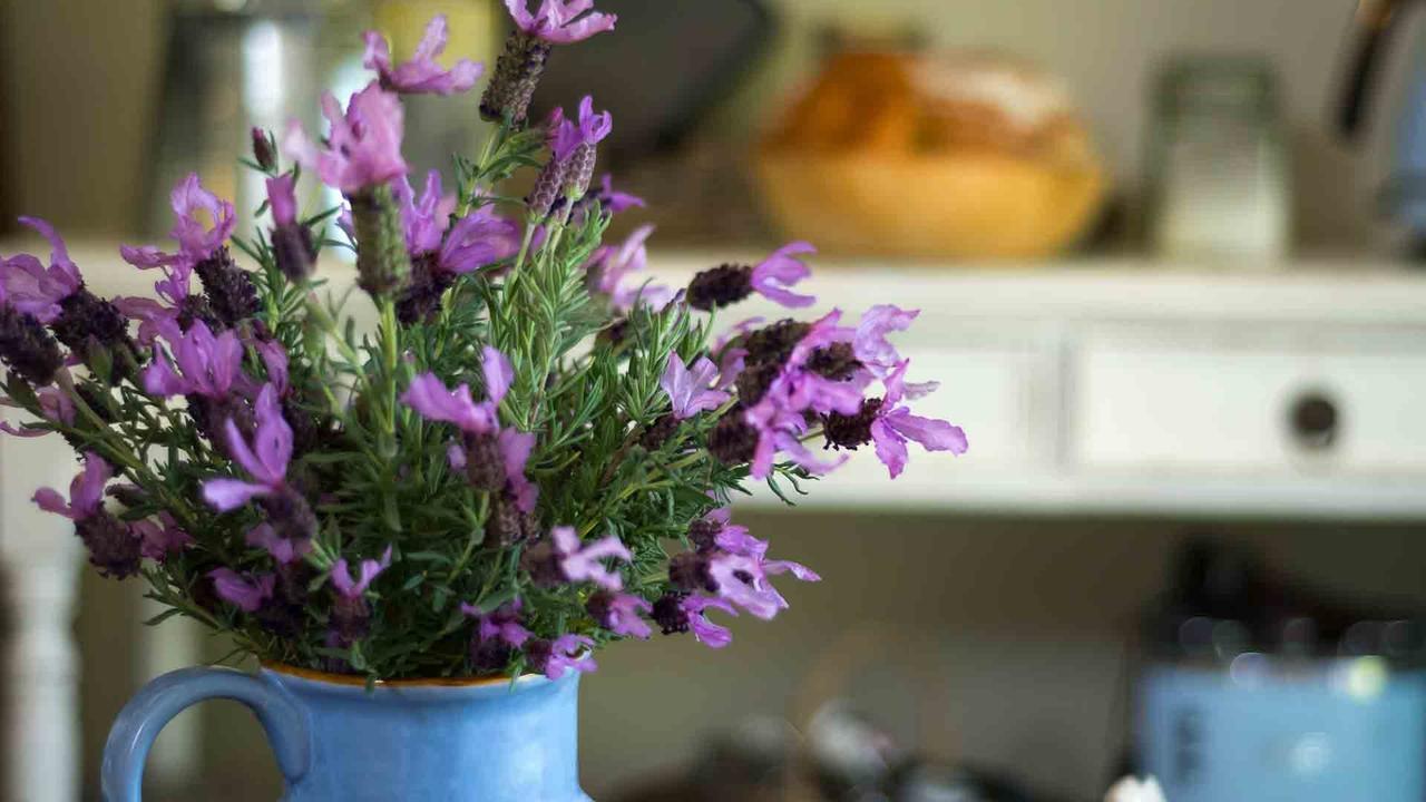 Vicarage View Cottage Kangaroo Valley Zewnętrze zdjęcie